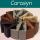 Company Carasyn. Description and contact information.