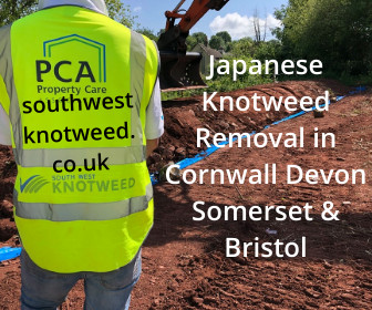 Company Southwest Japanese Knotweed Removal Cornwall Devon Bristol Somerset. Description and contact information.