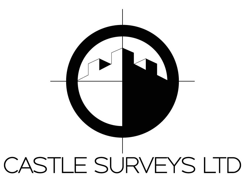 Company Castle Surveys Ltd. Description and contact information.