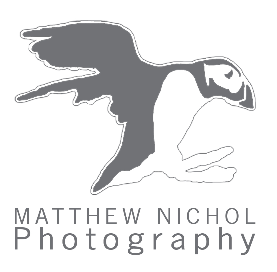 Company Matthew Nichol Photography. Description and contact information.