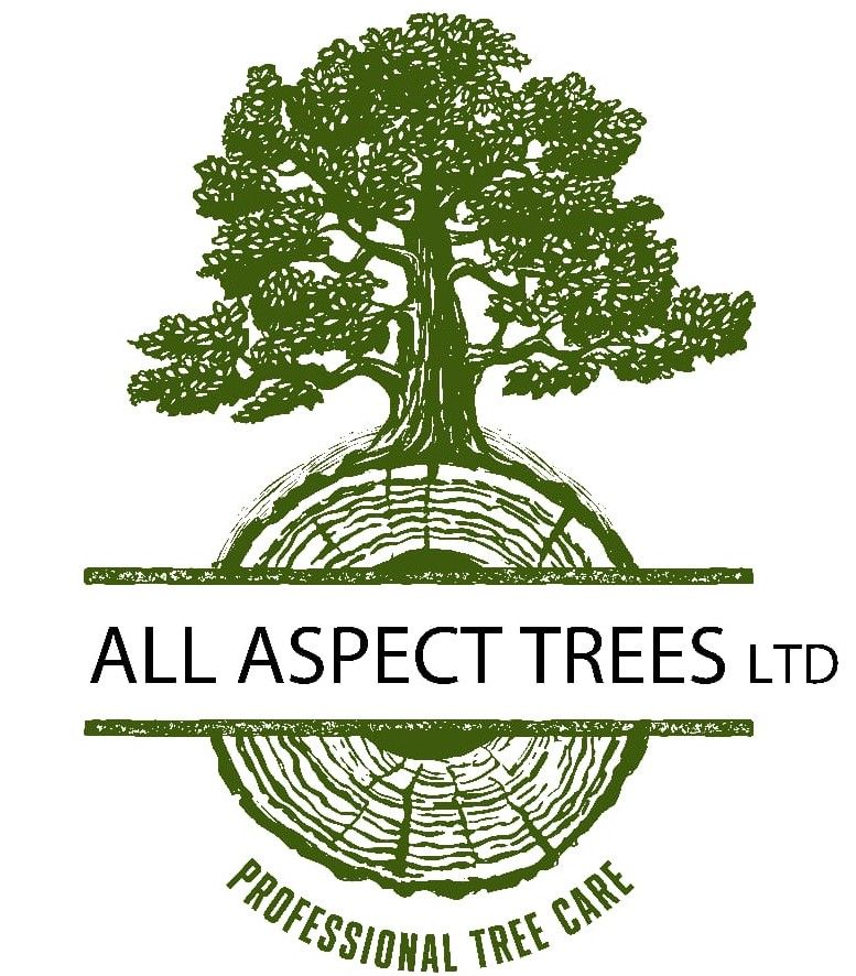Company All Aspect Trees Ltd. Description and contact information.