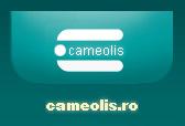 Company Cameolis. Description and contact information.